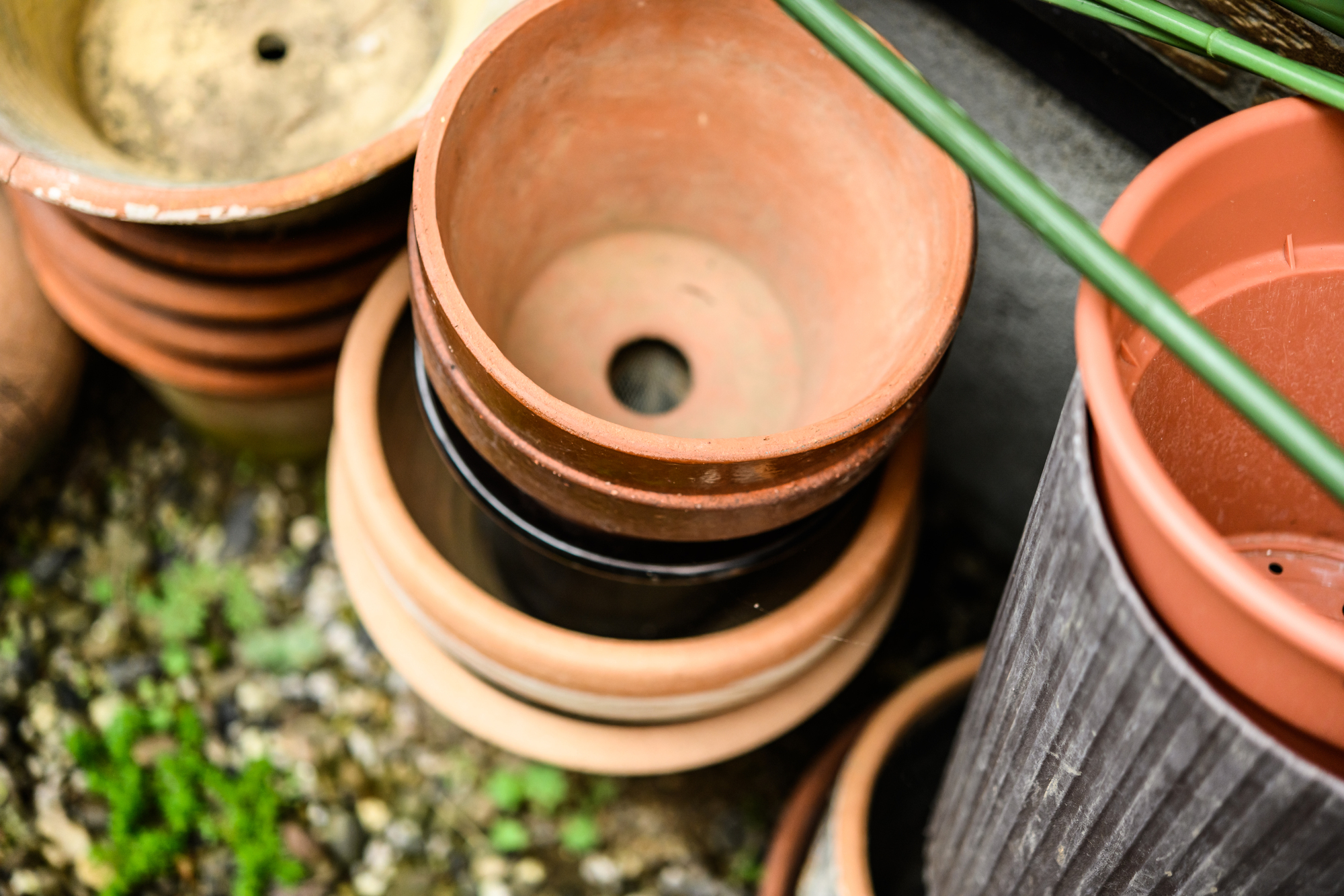植木鉢や土の処分方法
