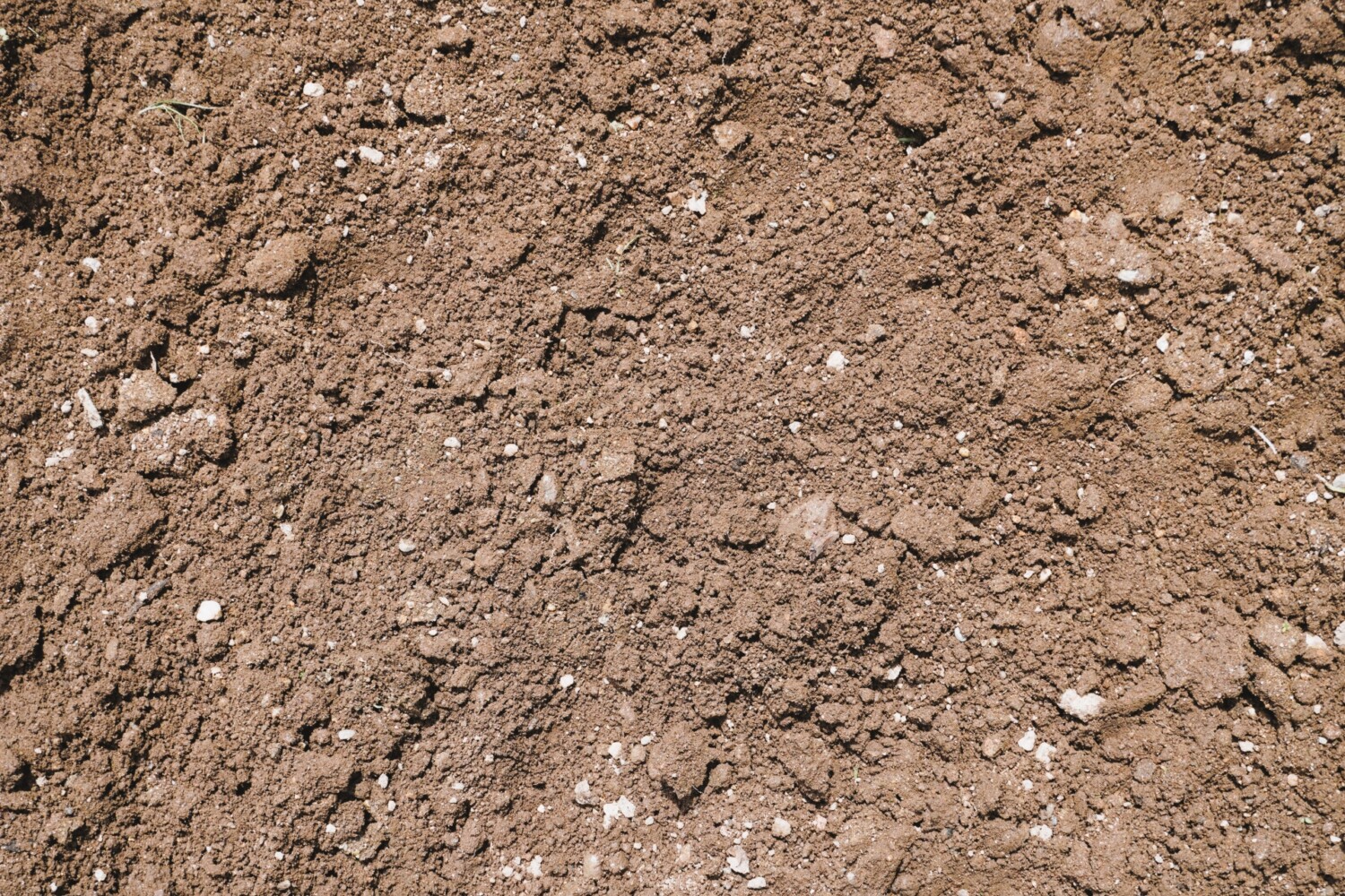 土の回収をしてくれる専門処分業者の例