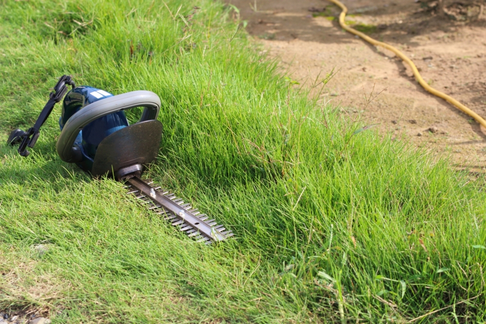 生木・伐採枝・剪定枝を処分するときの注意点