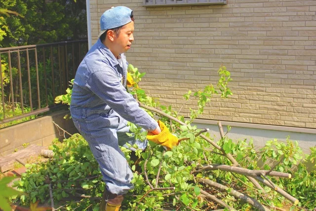 生木（伐採枝・剪定枝など）の処分方法と費用相場・注意点を解説！