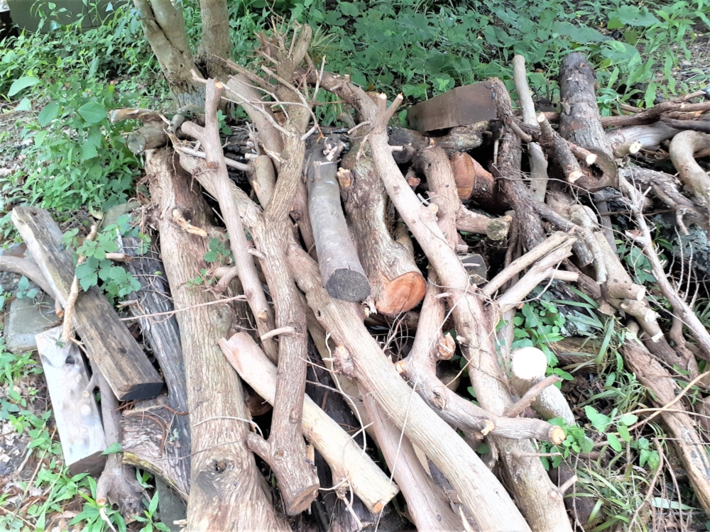 生木・伐採枝・剪定枝の処分方法7選!