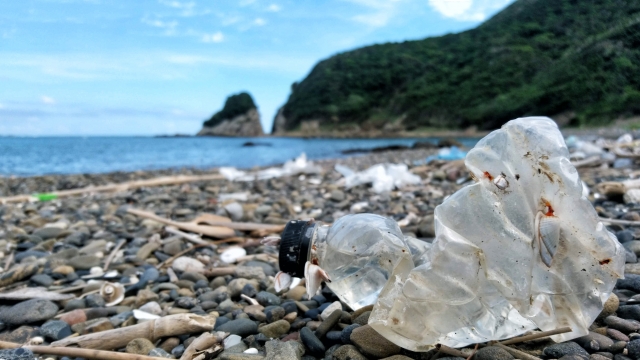 海洋プラスチックの増加
