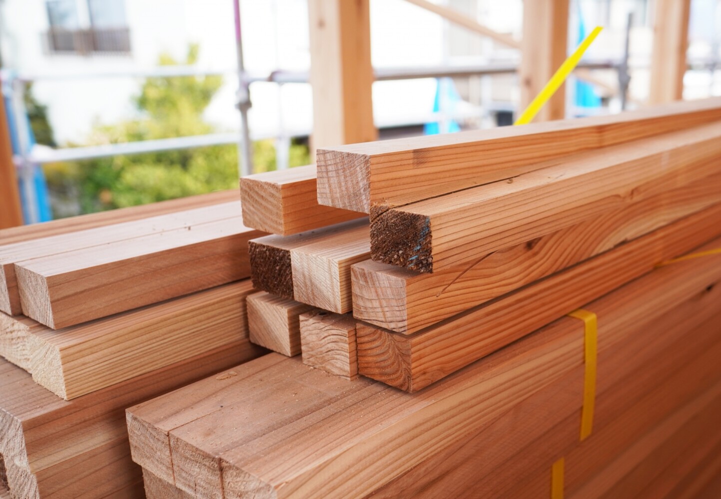 木材の捨て方完全ガイド｜持ち込みなら処分は無料？NG廃棄方法も 