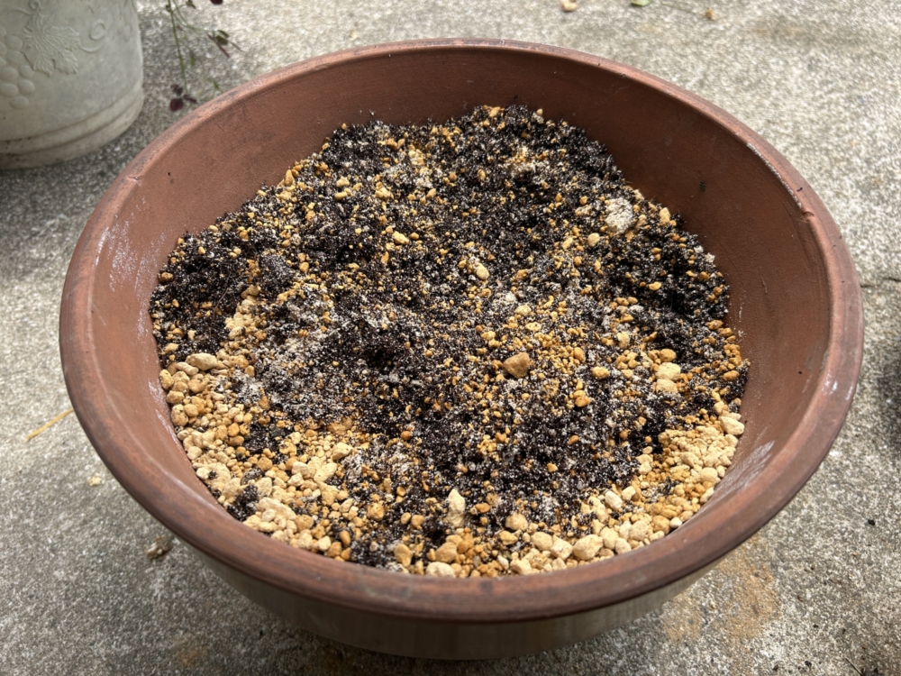 植木鉢の正しい捨て方の手順