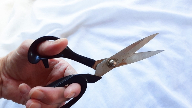 カーペットを切るときの注意点