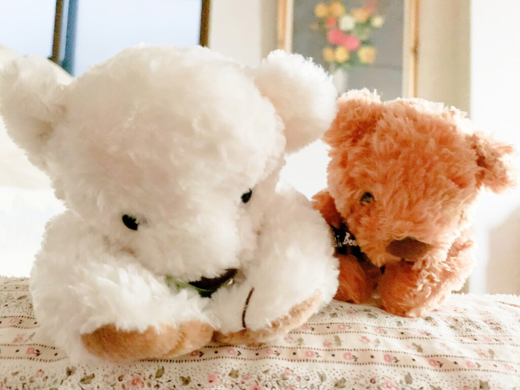 ぬいぐるみ供養にかかる費用の目安