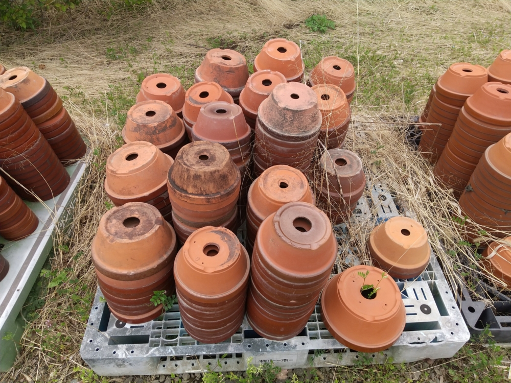 植木鉢のおすすめ処分方法