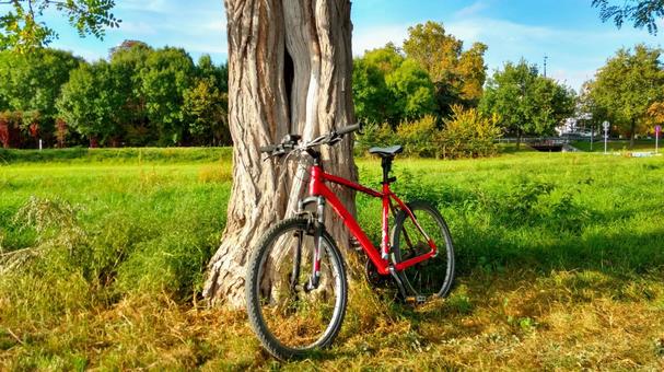 私有地の放置自転車を処分する方法