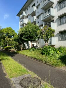 横浜市T様 3LDK 棚 回収後