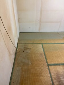 北本市 しまざき様 3DK 服・タンス 回収後