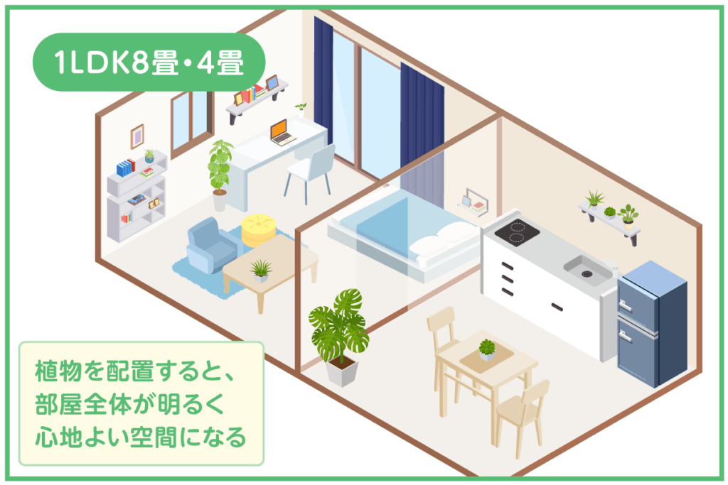 1LDK8畳・4畳：観葉植物を活用した癒しの空間レイアウト