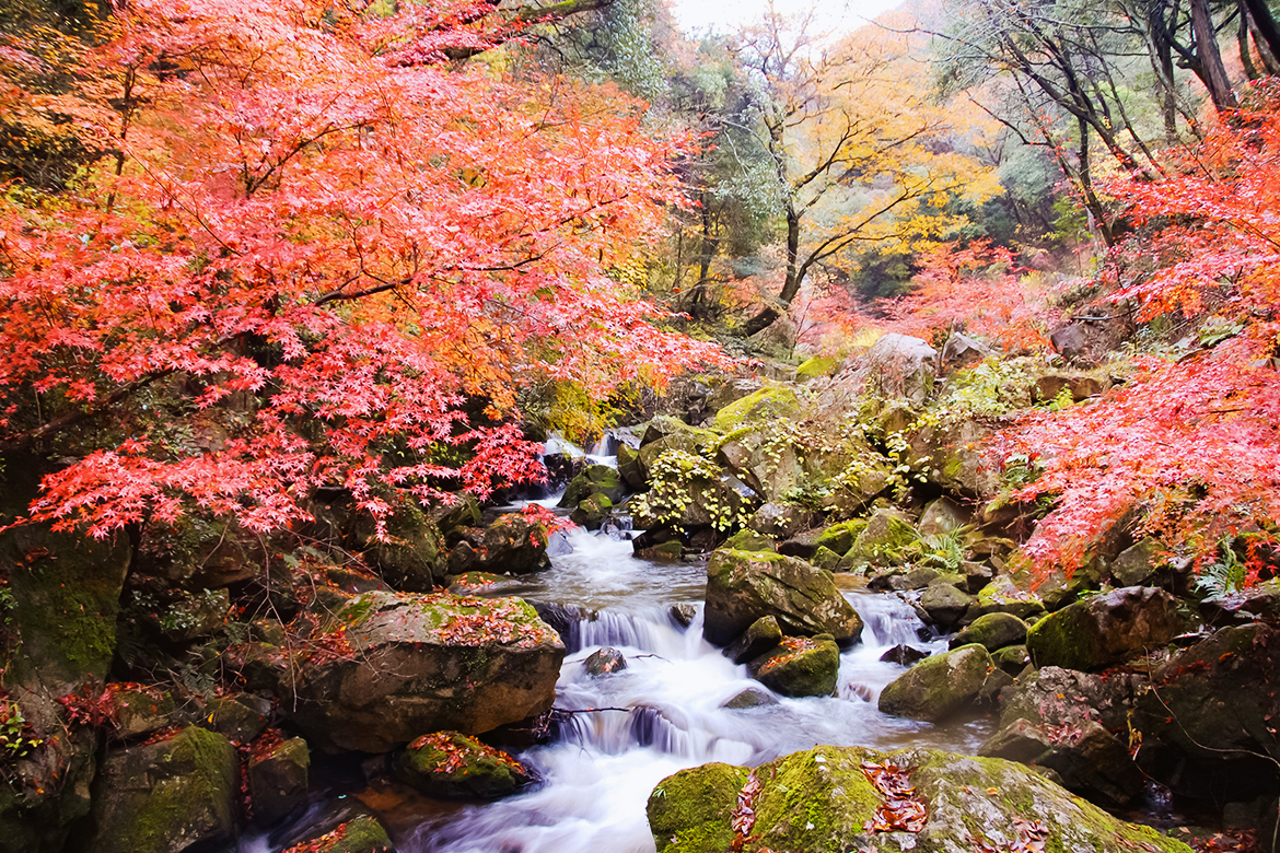 瑞浪市のご紹介
