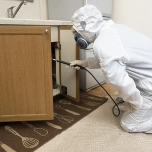 害虫駆除できるゴミ屋敷片付け業者7社を紹介！費用を抑えるコツも