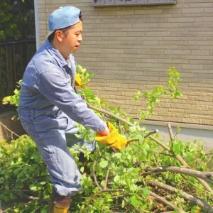 生木（伐採枝・剪定枝など）の処分方法と費用相場・注意点を解説！