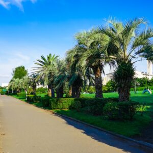 船橋市の粗大ゴミ出し方｜サイズ・料金・予約手順・回収時間の注意点