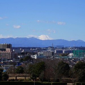 【世田谷区】引っ越し時の粗大ゴミ処分方法とおすすめ業者
