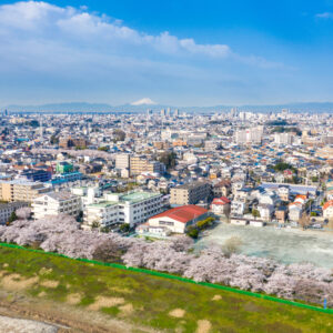 埼玉でおすすめの相場より安いゴミ屋敷片付け業者!2023年最新