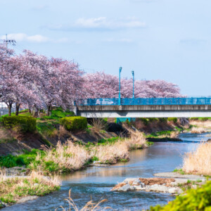 【2023最新】八王子市でおすすめの部屋の片付け代行業者5選!