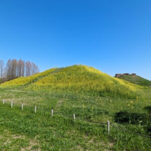 埼玉県の片付け代行業者10社！口コミ・評判も良い優良業者を厳選！